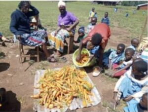 moh harvested crops